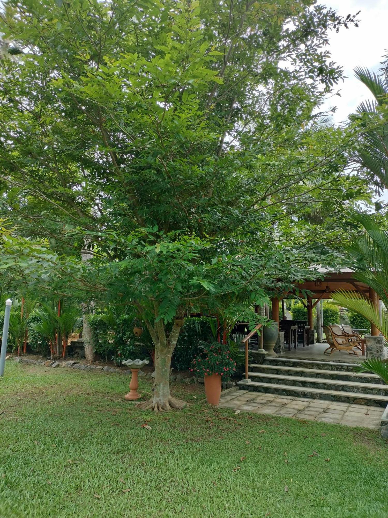 Avalon Village Resort 因都鲁瓦 外观 照片