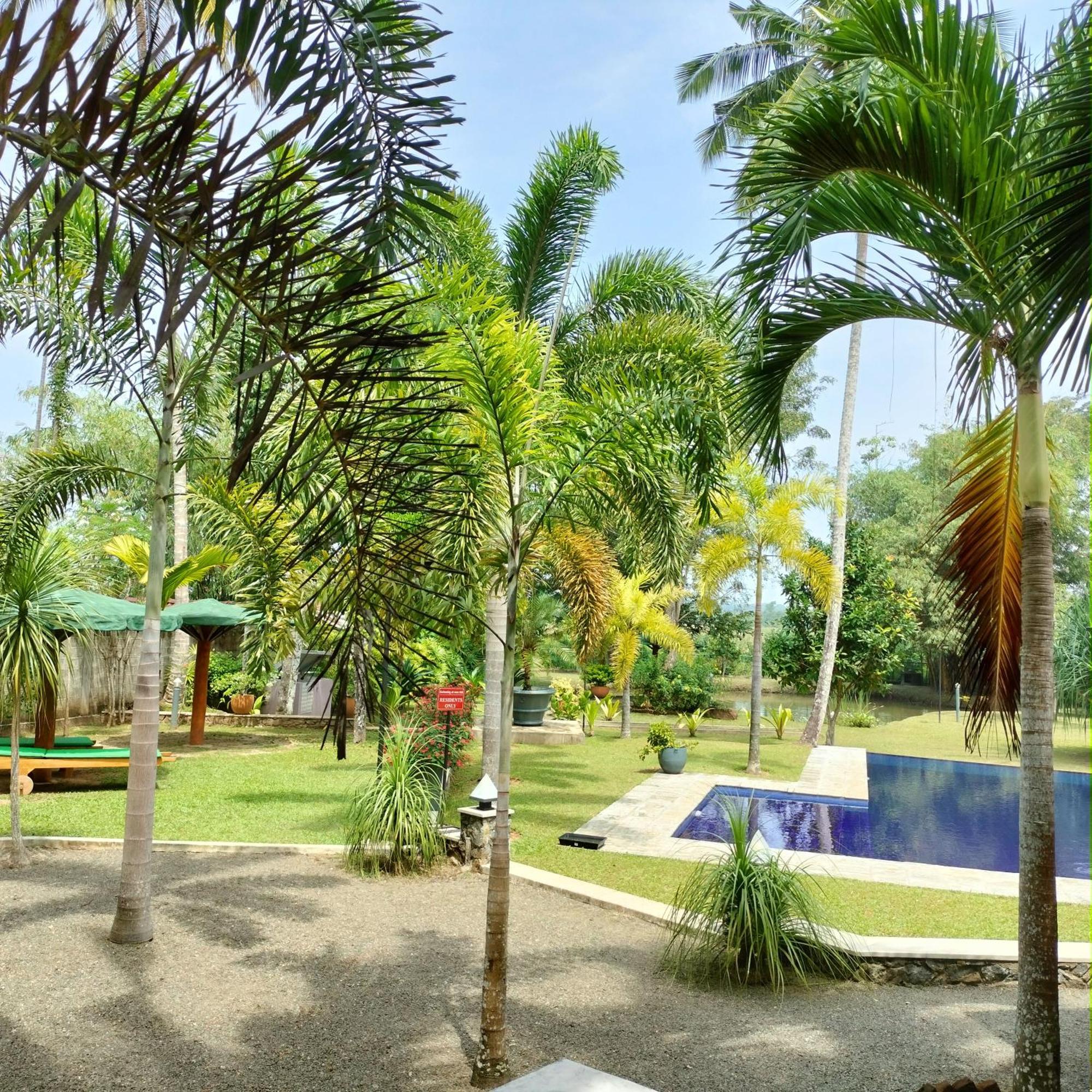 Avalon Village Resort 因都鲁瓦 外观 照片