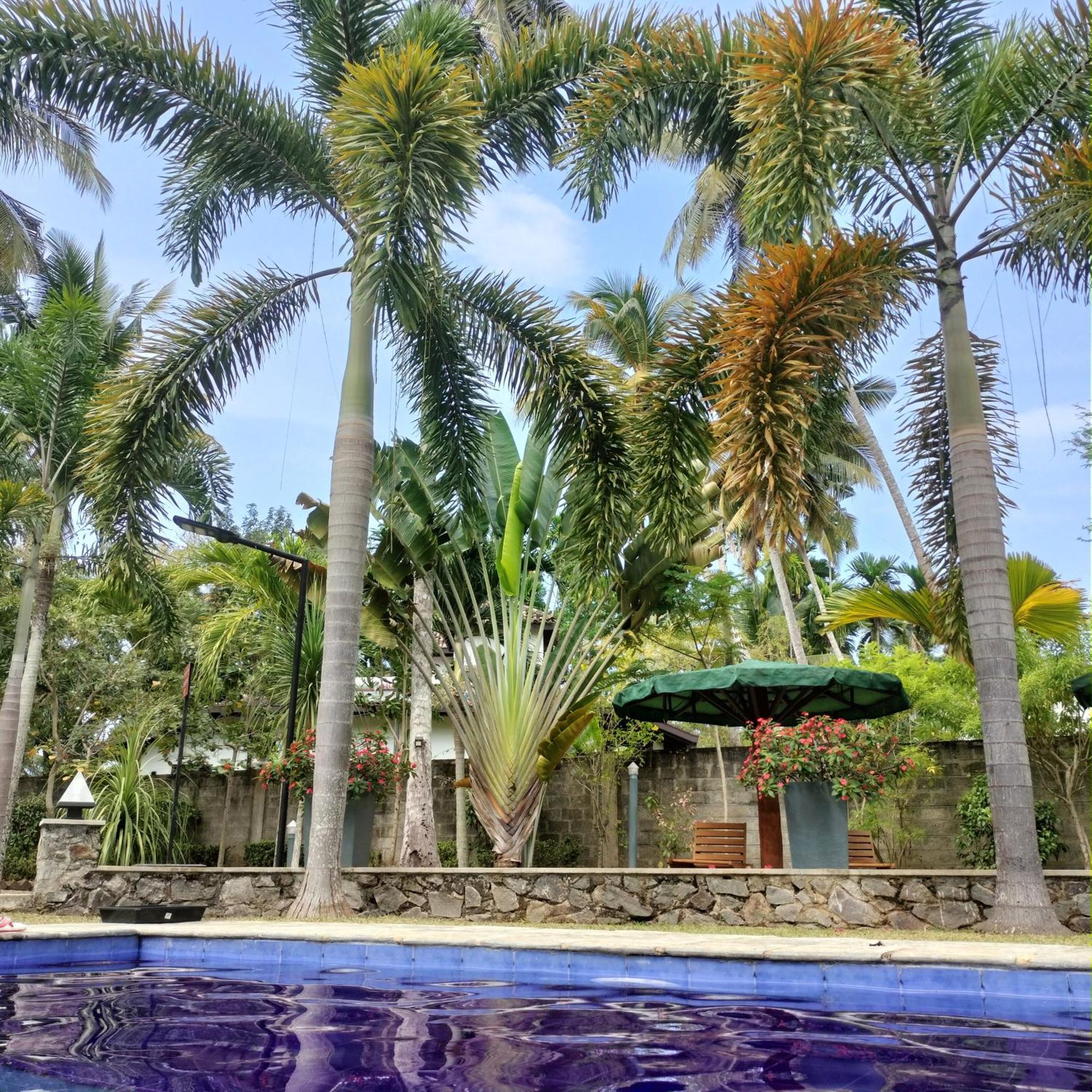 Avalon Village Resort 因都鲁瓦 外观 照片