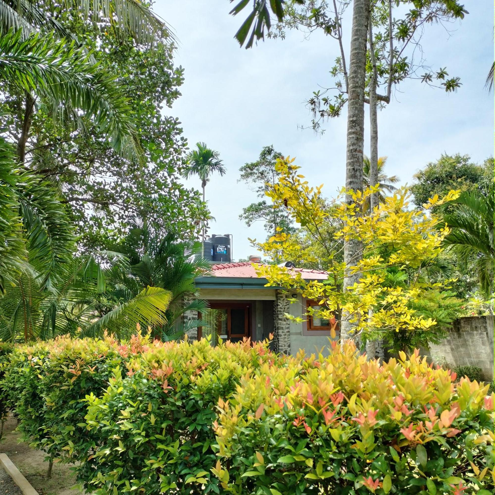 Avalon Village Resort 因都鲁瓦 外观 照片