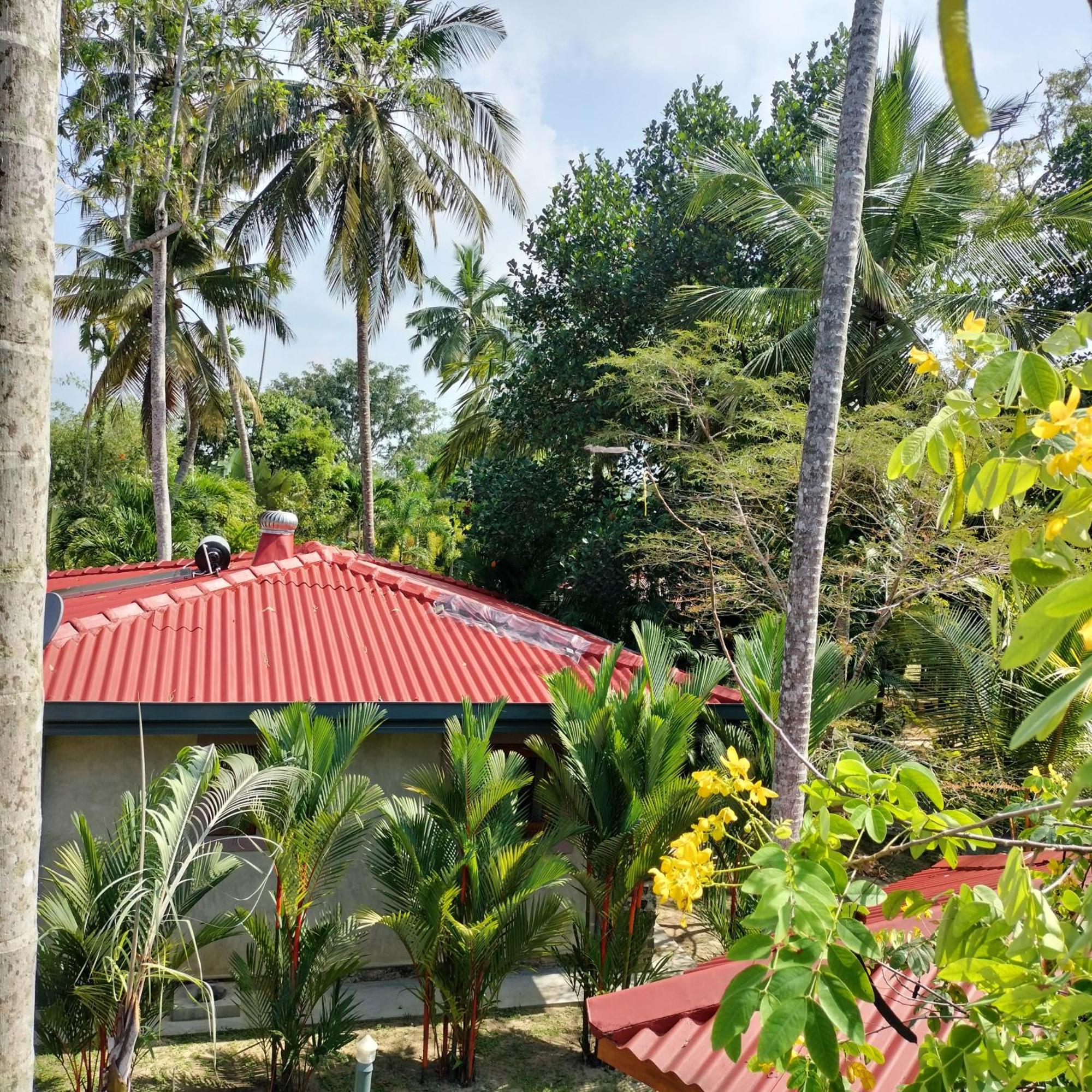 Avalon Village Resort 因都鲁瓦 外观 照片