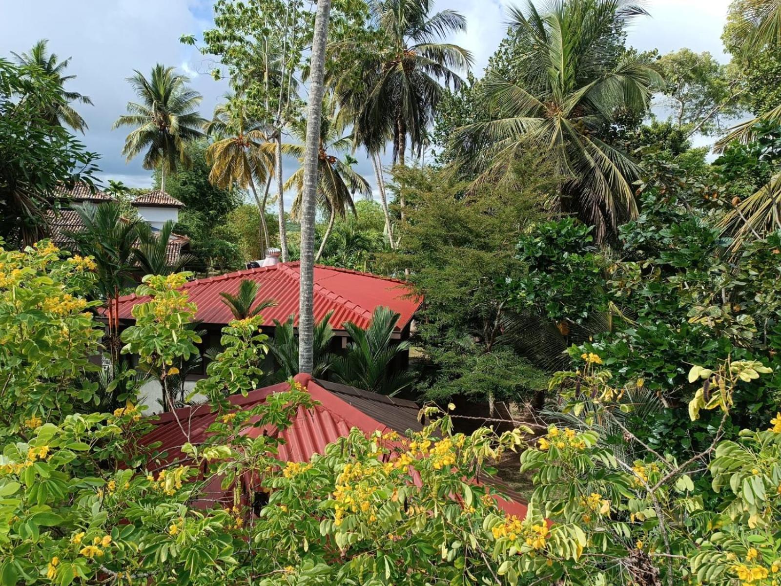 Avalon Village Resort 因都鲁瓦 外观 照片